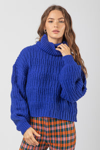Royal Turtleneck Sweater